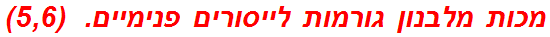 מכות מלבנון גורמות לייסורים פנימיים.  (5,6)