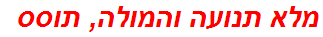 מלא תנועה והמולה, תוסס