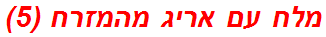 מלח עם אריג מהמזרח (5)