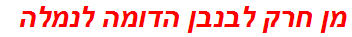 מן חרק לבנבן הדומה לנמלה