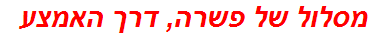 מסלול של פשרה, דרך האמצע