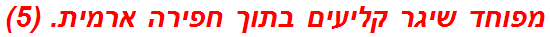 מפוחד שיגר קליעים בתוך חפירה ארמית. (5)