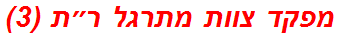 מפקד צוות מתרגל ר״ת (3)