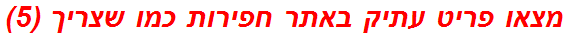 מצאו פריט עתיק באתר חפירות כמו שצריך (5)