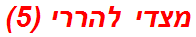 מצדי להררי (5)