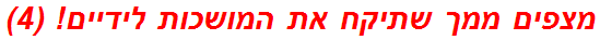 מצפים ממך שתיקח את המושכות לידיים! (4)