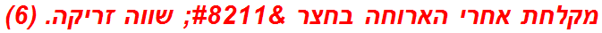 מקלחת אחרי הארוחה בחצר – שווה זריקה. (6)