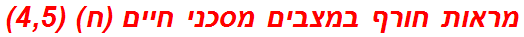 מראות חורף במצבים מסכני חיים (ח) (4,5)