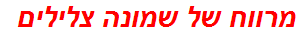 מרווח של שמונה צלילים