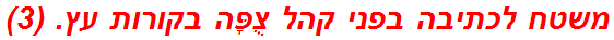 משטח לכתיבה בפני קהל צֻפָּה בקורות עץ. (3)