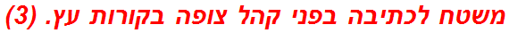 משטח לכתיבה בפני קהל צופה בקורות עץ. (3)