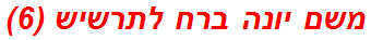 משם יונה ברח לתרשיש (6)