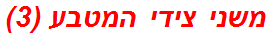 משני צידי המטבע (3)