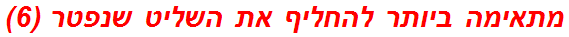 מתאימה ביותר להחליף את השליט שנפטר (6)