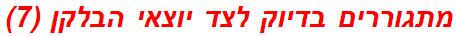 מתגוררים בדיוק לצד יוצאי הבלקן (7)