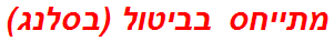 מתייחס בביטול (בסלנג)