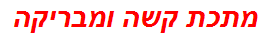 מתכת קשה ומבריקה