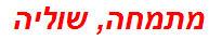 מתמחה, שוליה