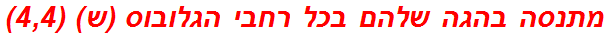 מתנסה בהגה שלהם בכל רחבי הגלובוס (ש) (4,4)