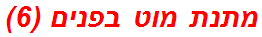 מתנת מוט בפנים (6)