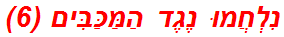 נִלְחֲמוּ נֶגֶד הַמַּכַּבִּים (6)