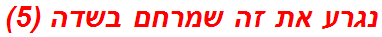 נגרע את זה שמרחם בשדה (5)