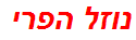 נוזל הפרי