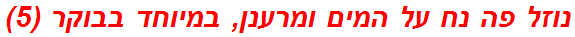 נוזל פה נח על המים ומרענן, במיוחד בבוקר (5)