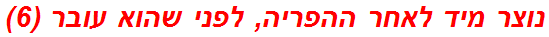 נוצר מיד לאחר ההפריה, לפני שהוא עובר (6)