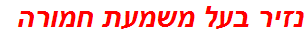 נזיר בעל משמעת חמורה