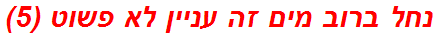 נחל ברוב מים זה עניין לא פשוט (5)