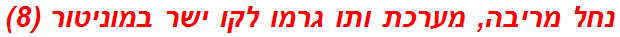 נחל מריבה, מערכת ותו גרמו לקו ישר במוניטור (8)