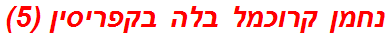 נחמן קרוכמל בלה בקפריסין (5)