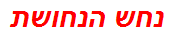 נחש הנחושת