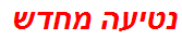 נטיעה מחדש