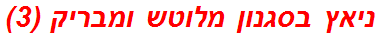 ניאץ בסגנון מלוטש ומבריק (3)