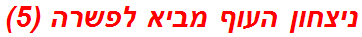 ניצחון העוף מביא לפשרה (5)