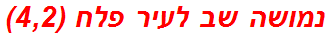 נמושה שב לעיר פלח (4,2)