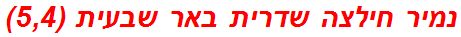 נמיר חילצה שדרית באר שבעית (5,4)