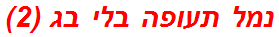 נמל תעופה בלי בג (2)