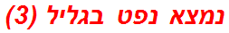 נמצא נפט בגליל (3)