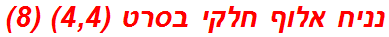 נניח אלוף חלקי בסרט (4,4) (8)