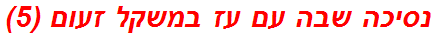 נסיכה שבה עם עז במשקל זעום (5)