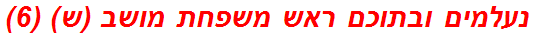 נעלמים ובתוכם ראש משפחת מושב (ש) (6)