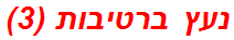 נעץ ברטיבות (3)