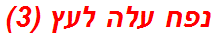 נפח עלה לעץ (3)