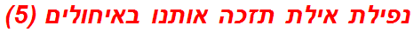 נפילת אילת תזכה אותנו באיחולים (5)