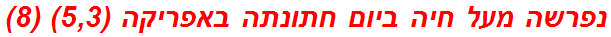 נפרשה מעל חיה ביום חתונתה באפריקה (5,3) (8)