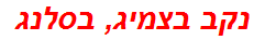 נקב בצמיג, בסלנג