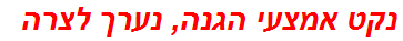 נקט אמצעי הגנה, נערך לצרה